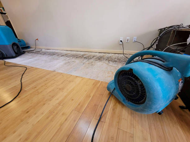 Professional Water Damage Repair technician working in Holland, MA